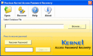 Access Password Recovery PROFESSIONAL screenshot